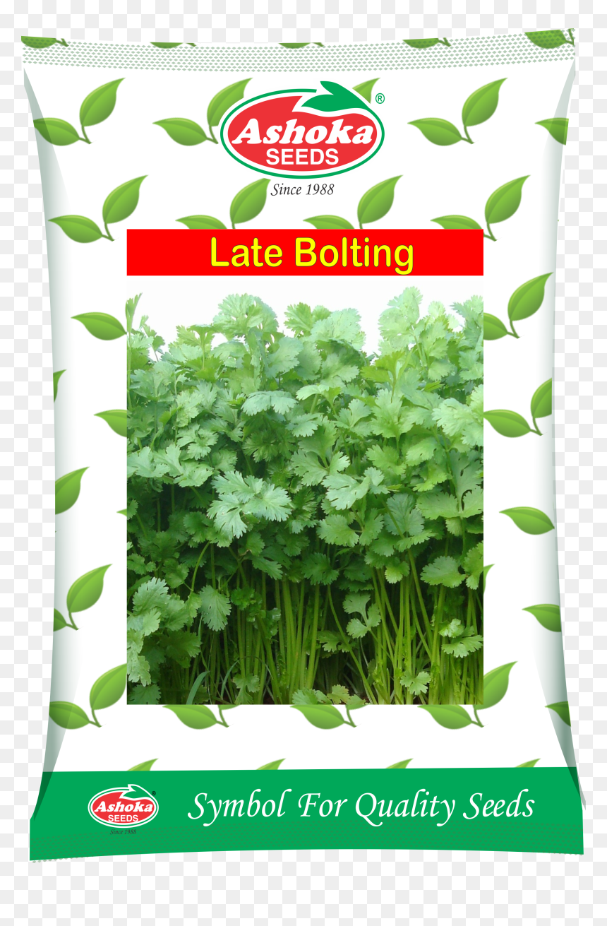 Ashok Seeds In Chilli Product , Png Download - Ashoka Seeds, Transparent Png - ashoka symbol png