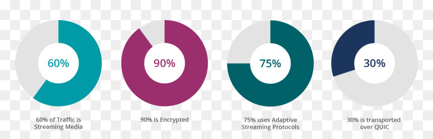 Ott Encryption Pie Graphs - Circle, HD Png Download - hitbox png