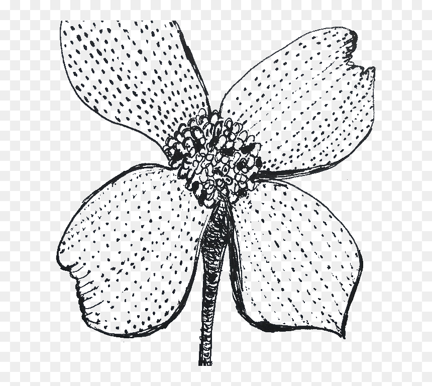 Flowers - Membrane-winged Insect, HD Png Download - design black and white art flower png