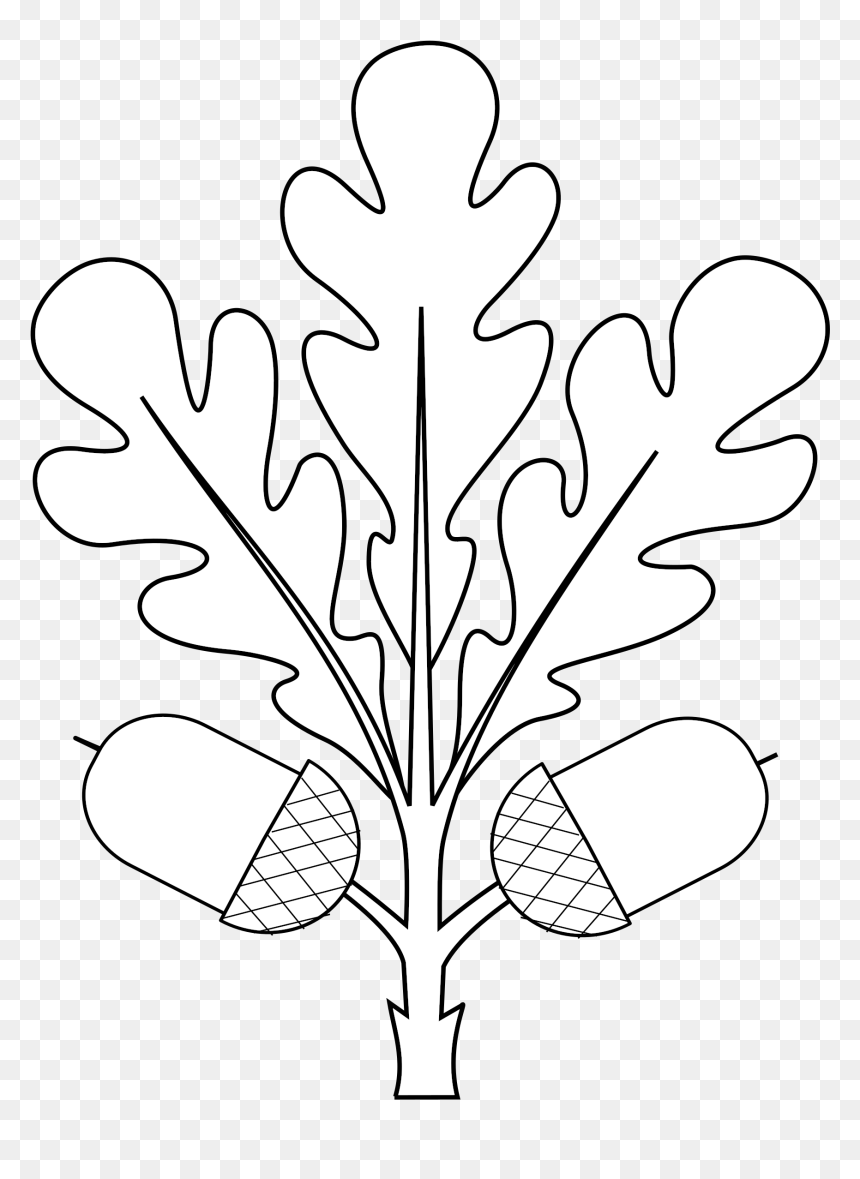 Oak Leafs Svg , Png Download - White Oak, Transparent Png - leafs background png