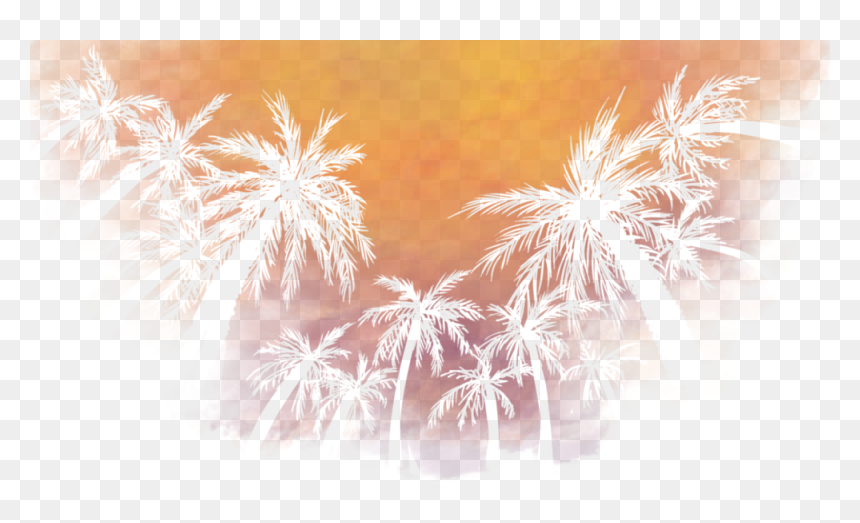 Reflection, HD Png Download - diwali fireworks wallpapers png