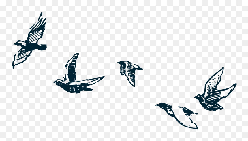 Elopementbirds-03 - Flock, HD Png Download - wedding love birds png