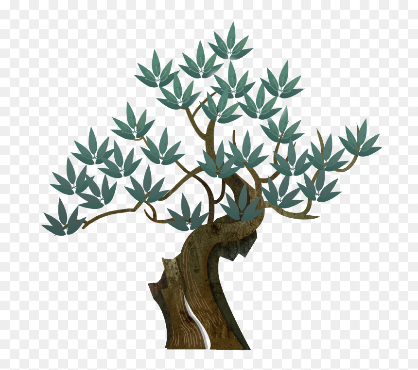 Sageretia Theezans, HD Png Download - dry tree branches png