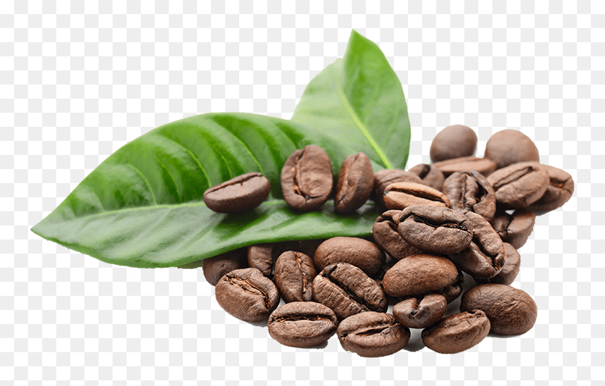 Coffee Beans Png, Transparent Png - green coffee bean png
