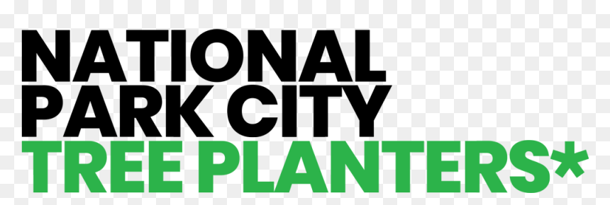 Npc Tree Planters Blk Grn Square - Graphic Design, HD Png Download - dry tree branches png