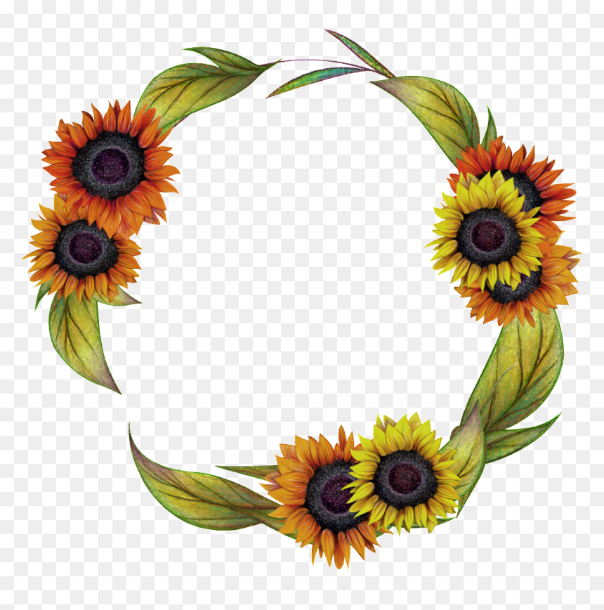 Hand Painted Two Color Sunflower Wreath Png Transparent - Sunflower Wreath Png, Png Download - color hand png