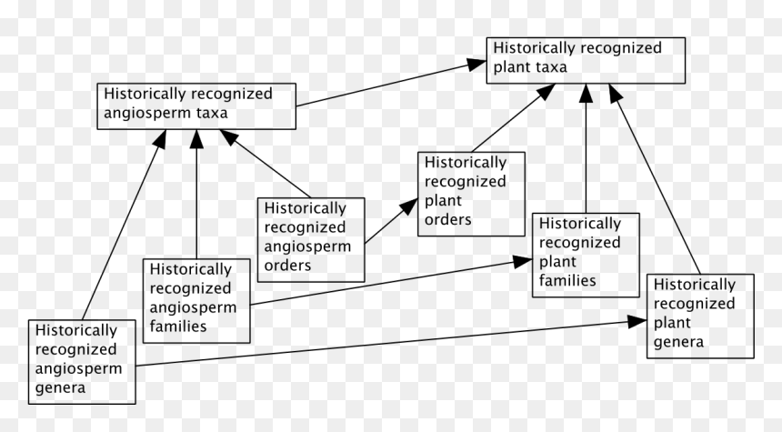 Diagram, HD Png Download - categories png