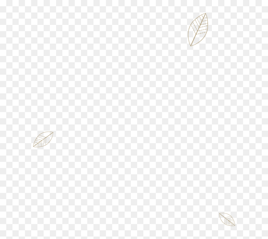 Footprint, HD Png Download - flying leaf png