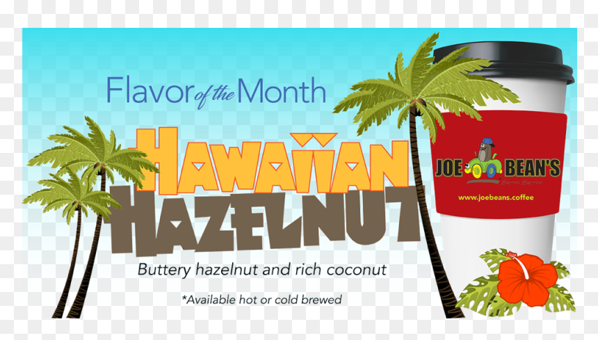 5may Hawaiian Hazelnut 1200px - Tabla De Surf Hawaiana, HD Png Download - single coconut tree png