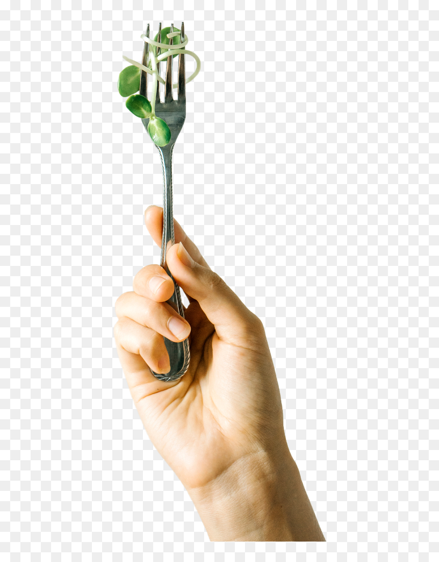 Vote With Fork - Tree, HD Png Download - vote finger png