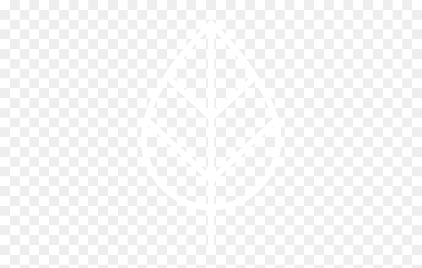 Leaf-white - Johns Hopkins Logo White, HD Png Download - flying leaf png
