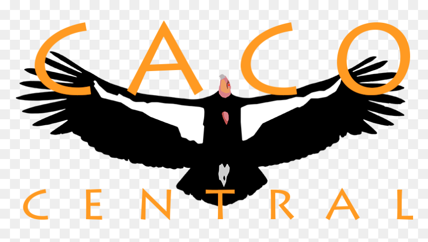 Golden Eagle, HD Png Download - login button image png
