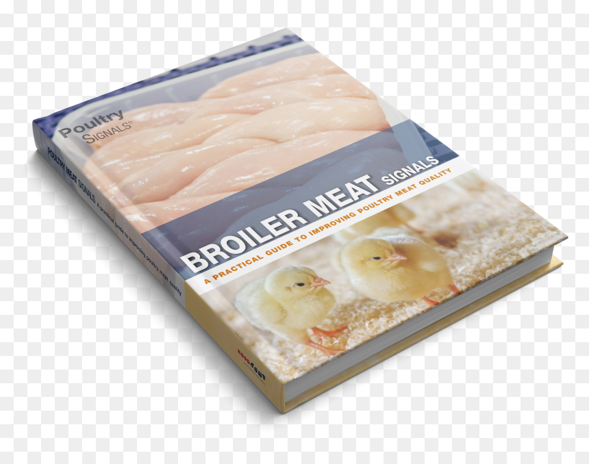 Practical Guide To Improving Poultry Meat Quality - Bánh, HD Png Download - broiler png