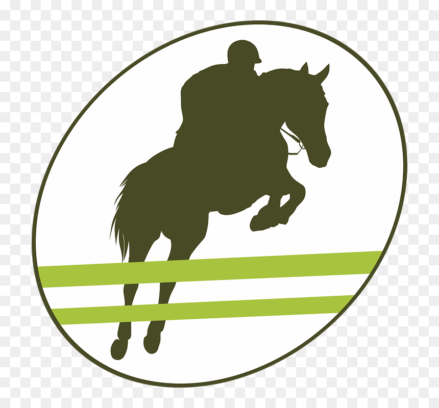 Transparent Obstacle Png - Horse Jumping Silhouette Free, Png Download - horse riding png