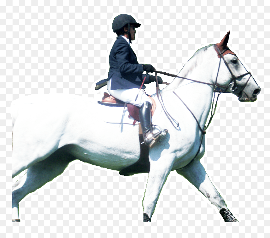 Transparent Horses Horseback Riding - Naik Kuda Png, Png Download - horse riding png