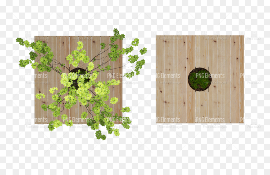 Plank, HD Png Download - plant png image