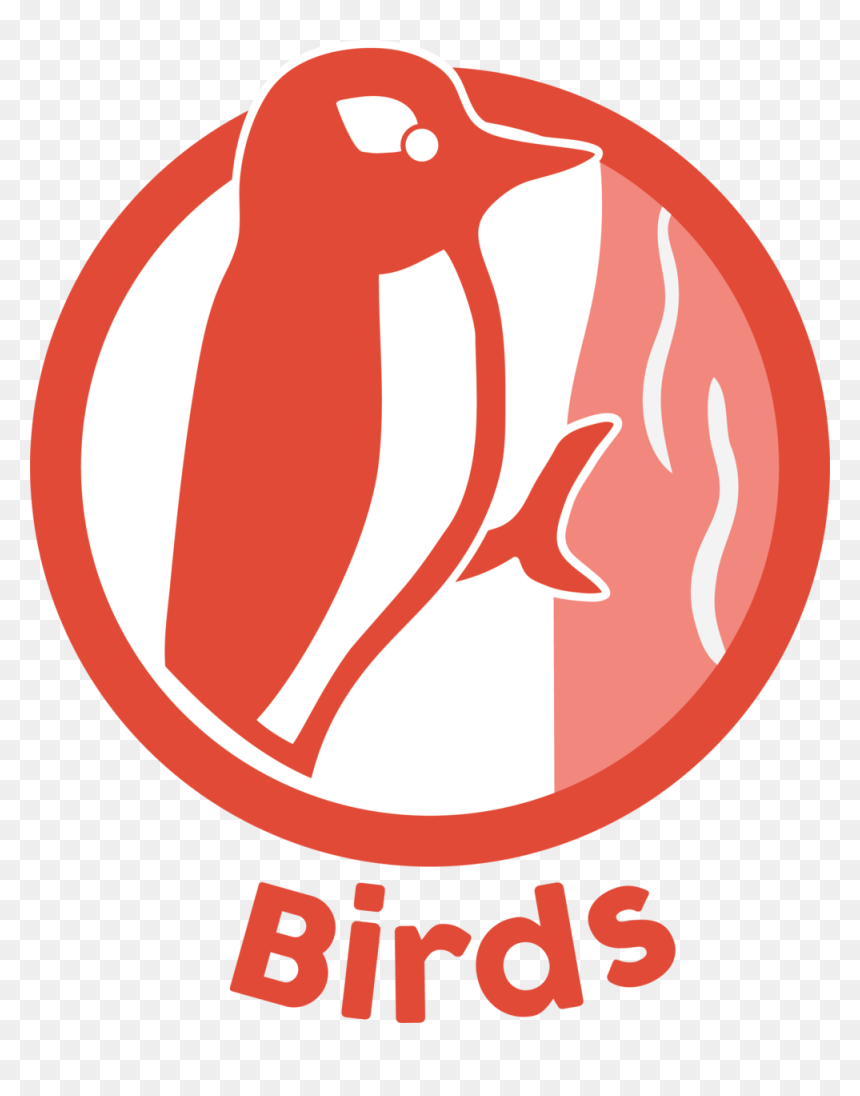 Birds Icon, HD Png Download - birds .png
