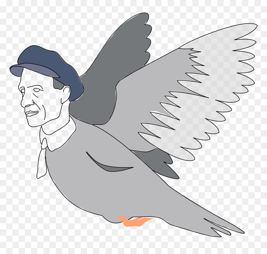 When Men Are Becoming Birds - Rock Dove, HD Png Download - birds .png