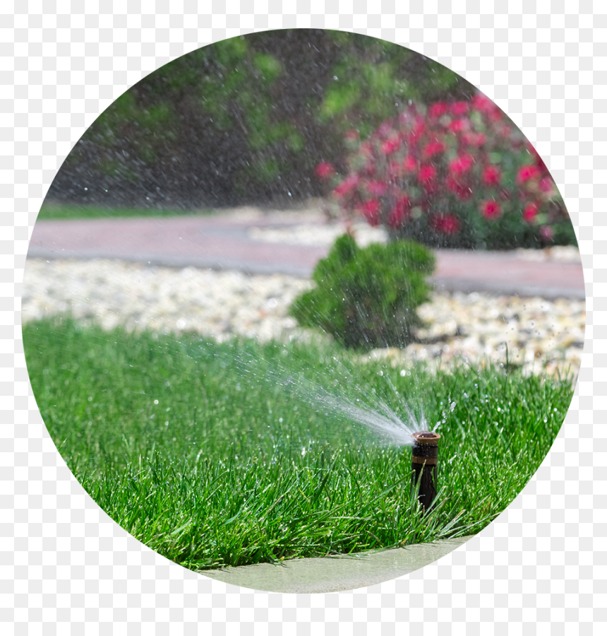 Summer Water Saving Tips - Bewässerung Garten, HD Png Download - water grass png