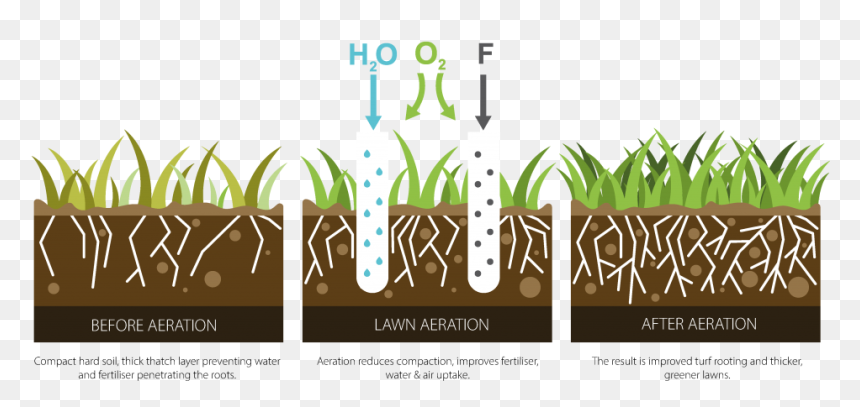 Logo Aerating, HD Png Download - water grass png