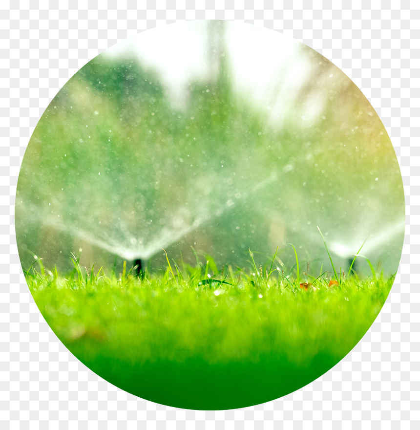 Multifamily Housing - Irrigation, HD Png Download - water grass png