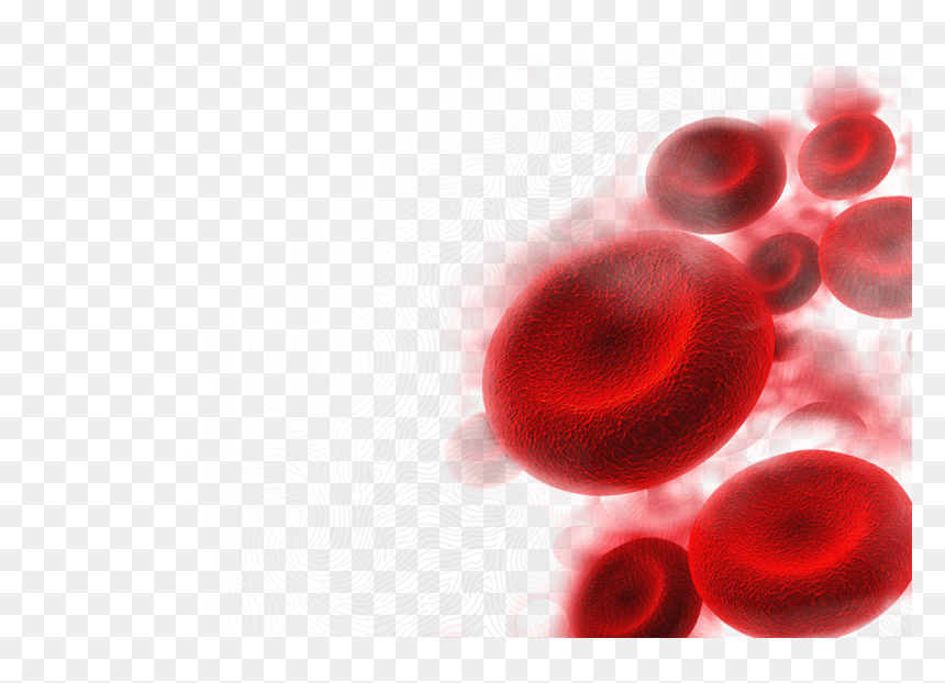 Lingonberry, HD Png Download - blood test png