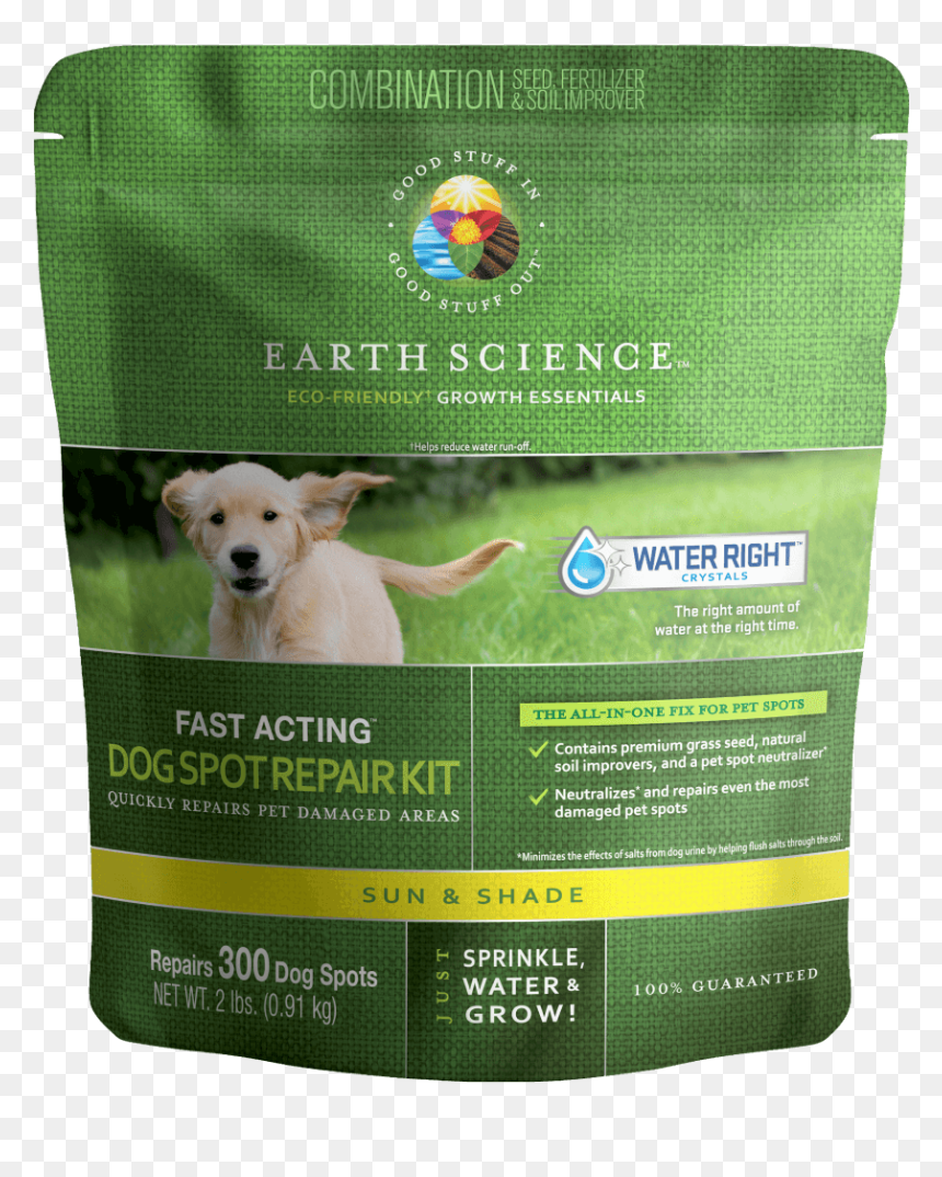 Labrador Retriever, HD Png Download - water grass png
