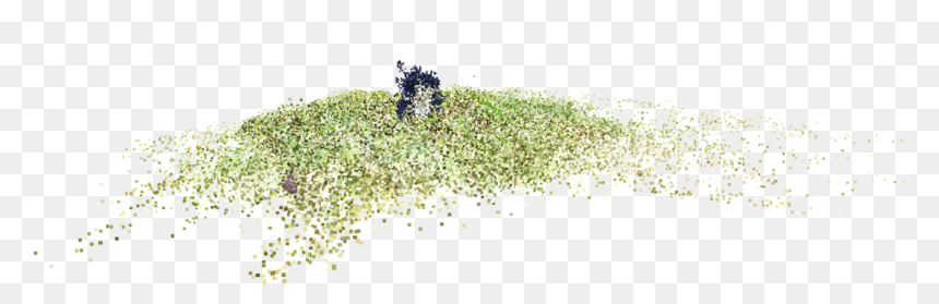 File - - Grass, HD Png Download - water grass png