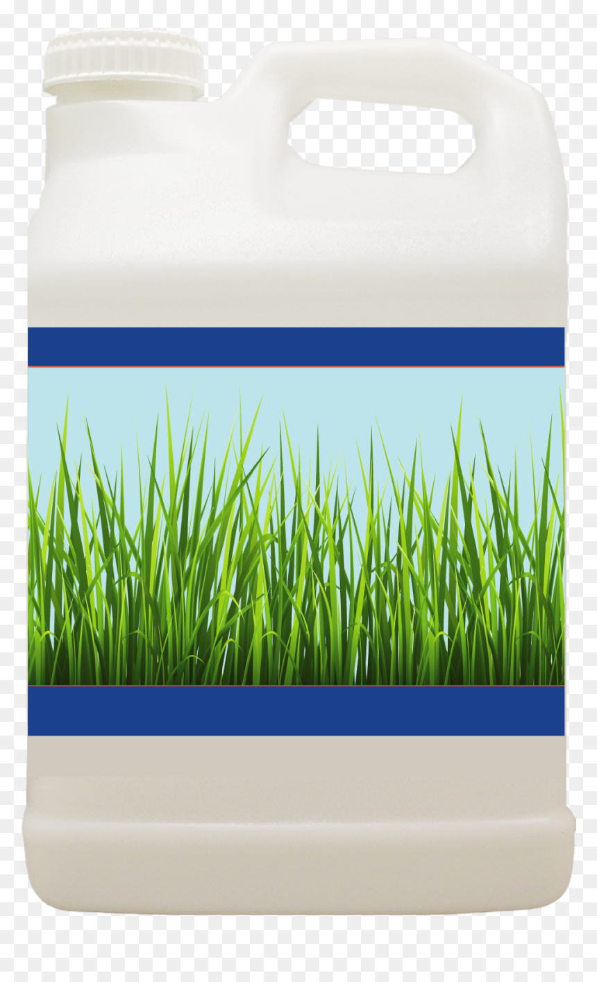 Water Bottle, HD Png Download - water grass png