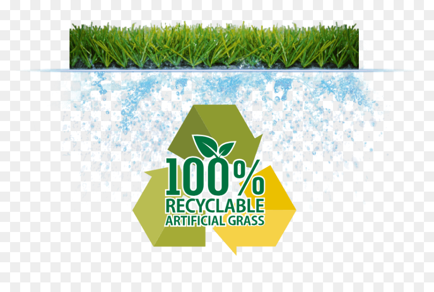 Graphic Design, HD Png Download - water grass png