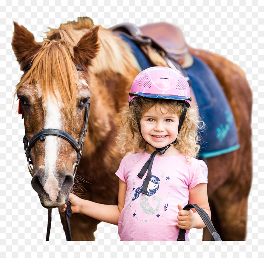 Dalson Park, HD Png Download - horse riding png