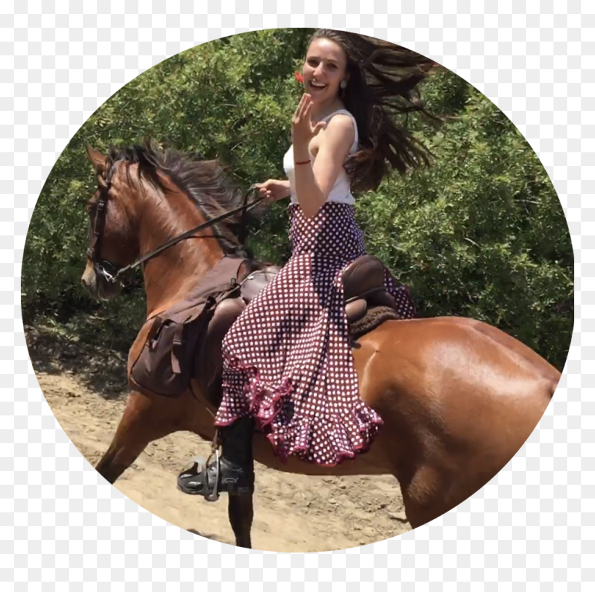 Horseriding In El Rocio - Stallion, HD Png Download - horse riding png