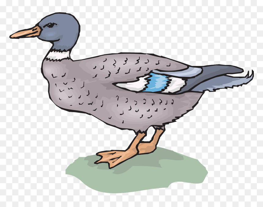 Duck, HD Png Download - water grass png