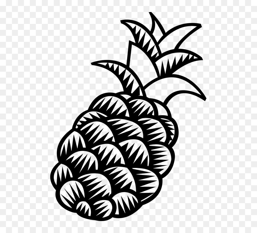 Vector Illustration Of Tropical Plant Pineapple Fruit - Cartoon Pineapple, HD Png Download - pineapple fruit png