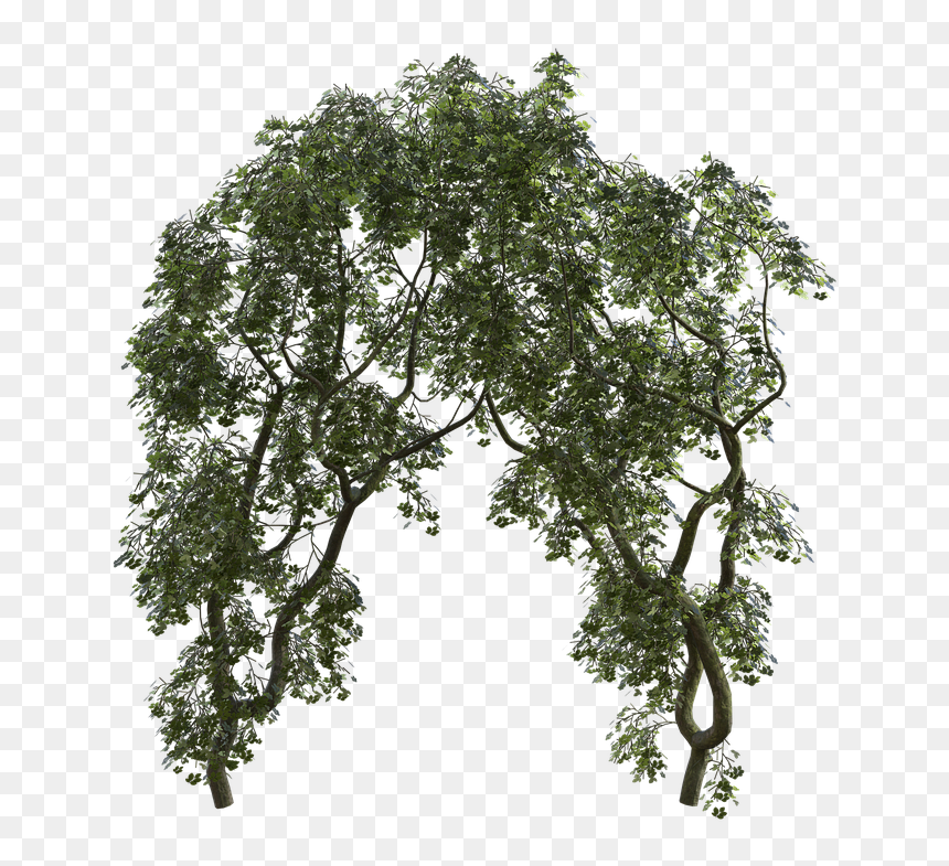 Kunstplant Hedera Groen-bont L 45cm, HD Png Download - 3d trees png