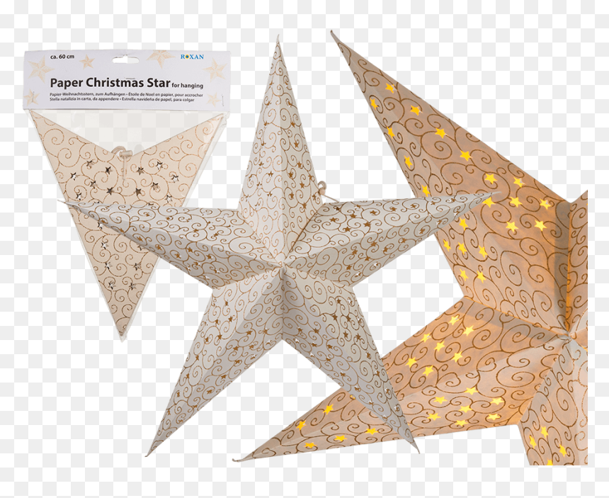 Poinsettia, HD Png Download - xmas star decorations png