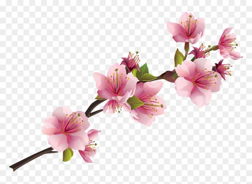 Pink Flowers Png, Transparent Png - floers png