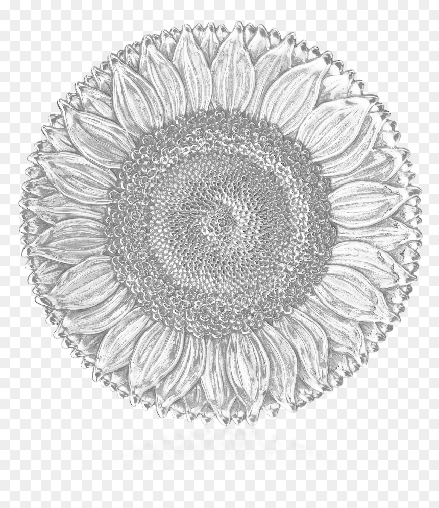 Buccellati - Bowls - Sunflower - Bowls - Buccellati Sunflower Dish, HD Png Download - white sunflower png