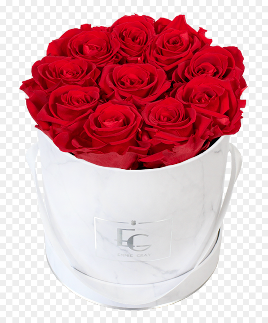 Classic Infinity Rosebox - Emmie Gray, HD Png Download - rose flower bucket png