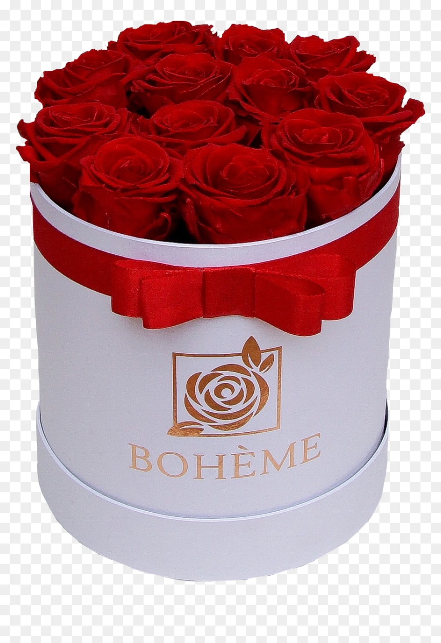 #valentinescards #roses #rose #flowers #floral #red - Floribunda, HD Png Download - rose flower bucket png