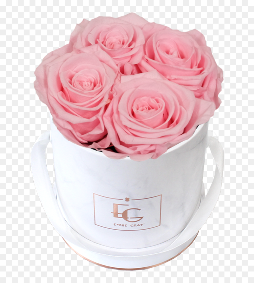 Emmie Gray, HD Png Download - rose flower bucket png