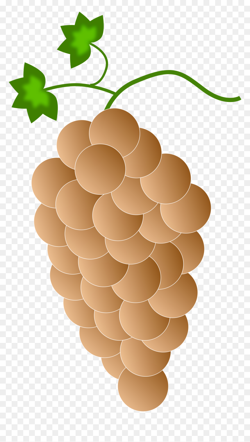 Orange Grapes Clip Arts - Clipart Orange Grapes, HD Png Download - grapes png image