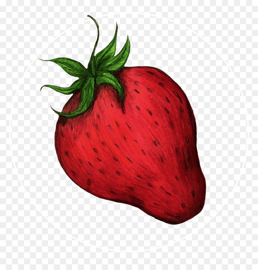 Attribute Motif Strawberry White - Strawberry, HD Png Download - strawberry fruit png