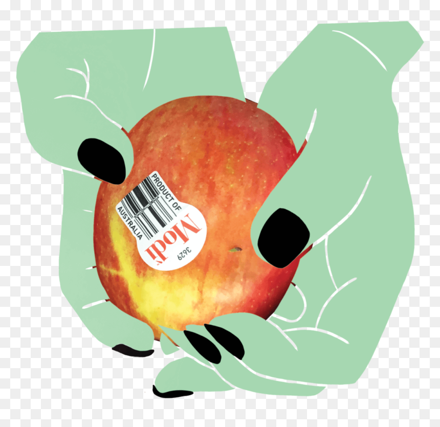 Apple In Hands - Illustration, HD Png Download - modi cartoon png