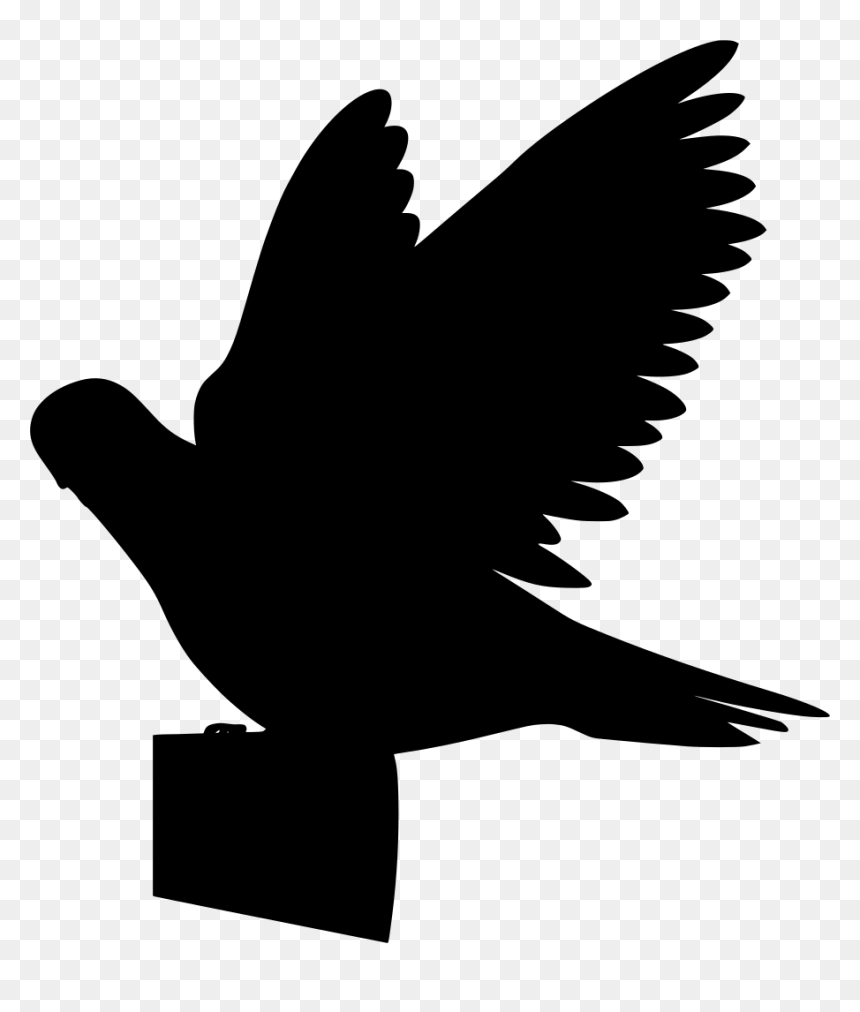 Birds Flying Clipart Png, Transparent Png - pigeon fly png