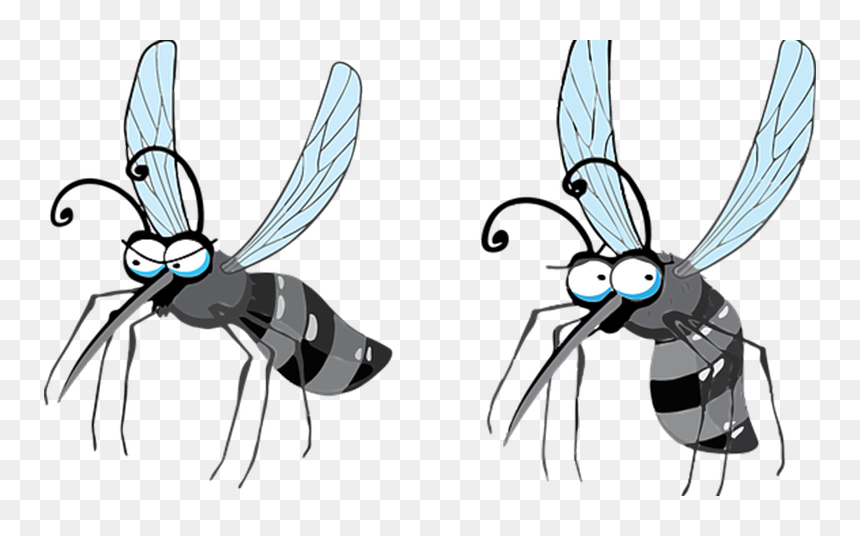 Mosquito Flying Clipart, HD Png Download - no mosquito png