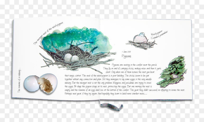 House Fly, HD Png Download - pigeon fly png