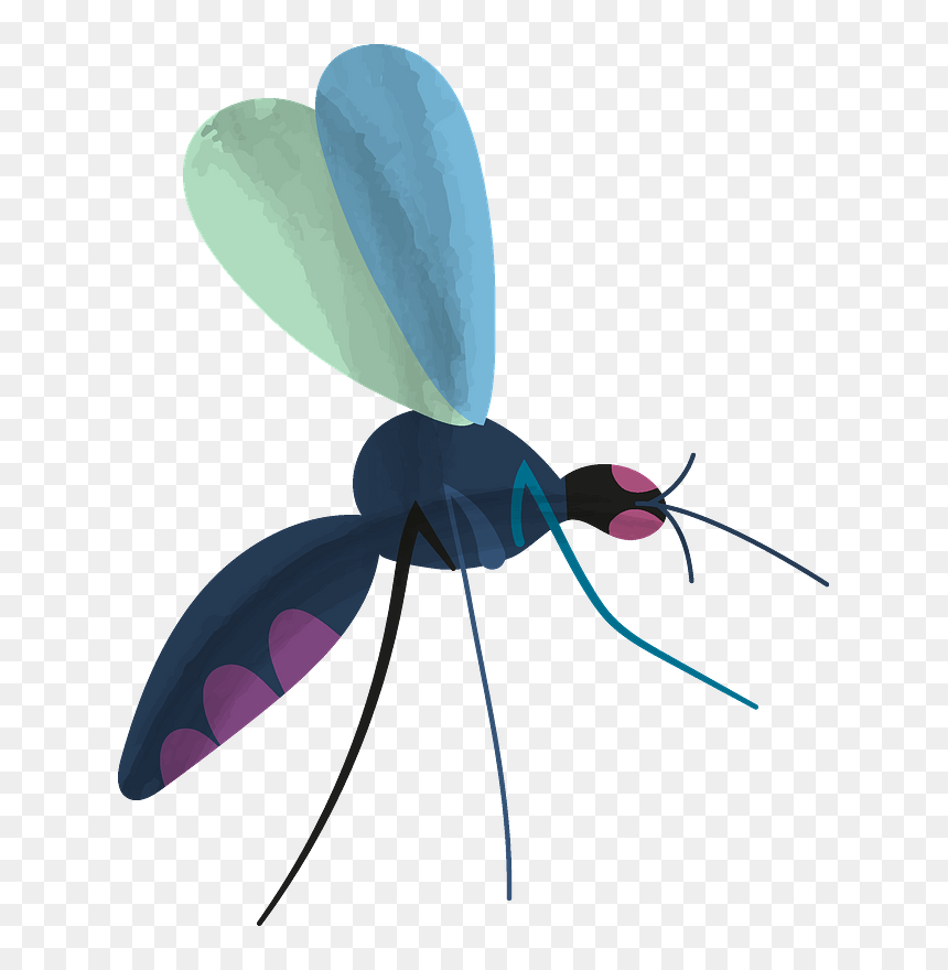 Mosquito Clipart - Net-winged Insects, HD Png Download - no mosquito png