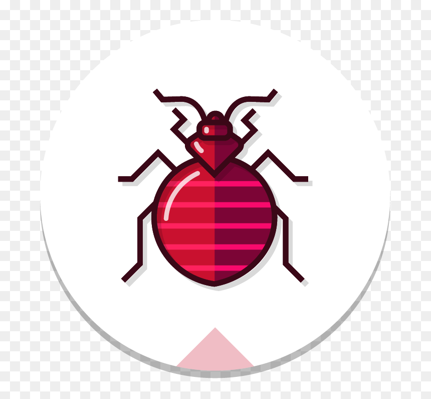 Circle Bedbug Color - Weevil, HD Png Download - red color png