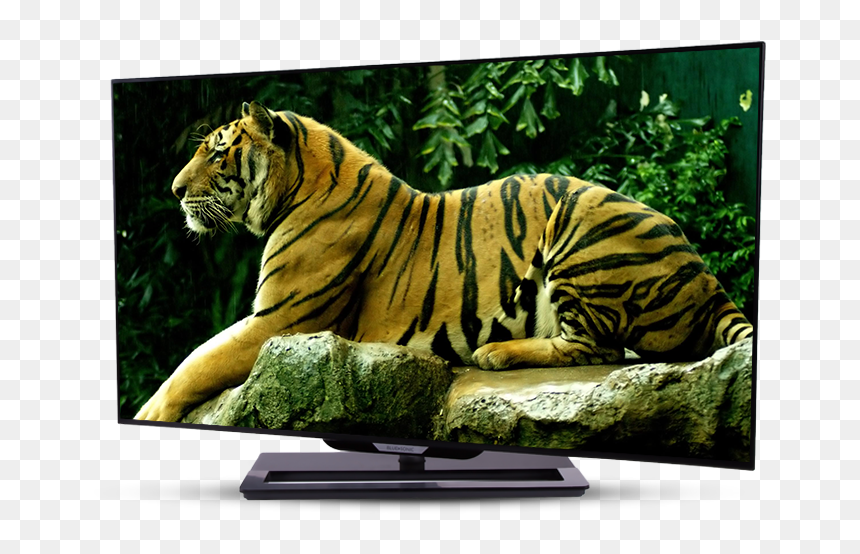 Your Personal Home Theatre - Newwallpaper, HD Png Download - led tvs png